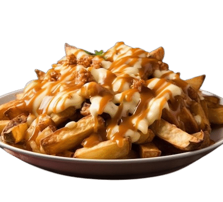 Chesse Loaded Fries
